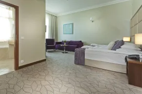 Kosher Hotel King David Prague - Chambre