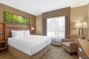Best Western Plus Valemount Inn & Suites - Chambre