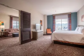 Hilton Garden Inn Mankato Downtown - Chambre