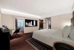 Intercity Hotel Shenzhen Futian Huaqiang North - Rom