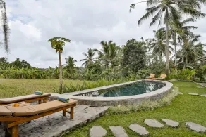 Joglo Organik Ubud - Piscine