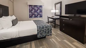 Best Western Plus Wilkes Barre-Scranton Airport Hotel - Chambre