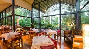 Pethers Rainforest Retreat - Restaurant