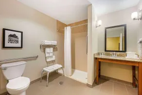 Comfort Suites East Lincoln - Mall Area - Chambre