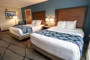 Wingate by Wyndham Indianapolis Airport Plainfield - Chambre