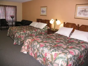 Seven Oakes Motel - Chambre