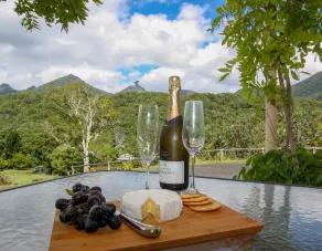 A view of Mount Warning - Ausblick vom Zimmer