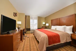 Comfort Inn & Suites Cedar Rapids North - Collins Road - Chambre