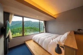 The ACONCAGUA RESORTS - Vista dalla camera