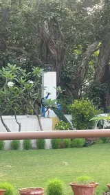 The Stay Inn New Delhi - View from room