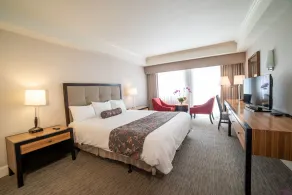 Oxford Palace Hotel - Vue de la chambre