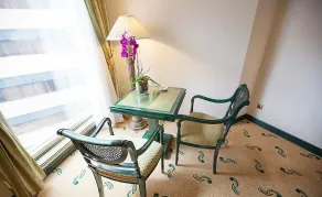 Carlton Palace Hotel - Chambre