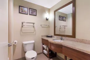 Comfort Suites Saraland - North Mobile - Chambre