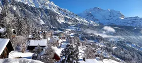 Hotel Bellevue - Traditional Swiss Hideaway - Vista do quarto
