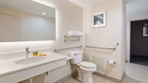 Best Western Plus Wilkes Barre-Scranton Airport Hotel - Salle de bain