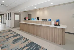 Hampton Inn & Suites Pharr - Réception