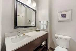 Best Western Plus Buda Austin Inn & Suites - Salle de bain