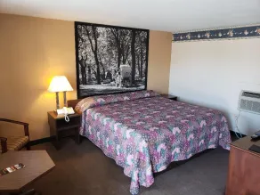 Mansfield Inn - Chambre