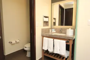 Hampton Inn by Hilton Leon Guanajuato - Bathroom