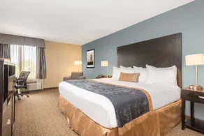 Wyndham Garden Texarkana - Chambre