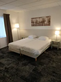 Fletcher Hotel - Restaurant de Zeegser Duinen - Habitación