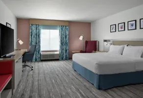 Hilton Garden Inn Tampa East/Brandon - Rom