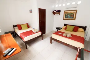 Cactus - Room