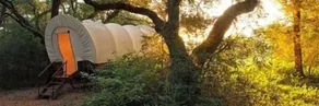 BlissWood B&B Ranch - Vue de la chambre