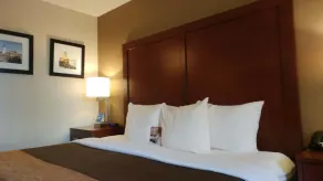 Comfort Inn South Portland Airport - Chambre