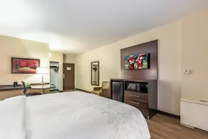 Red Roof Inn PLUS & Suites Houston - IAH Airport SW - Room
