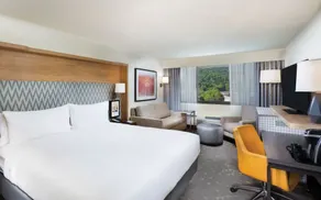 Holiday Inn Asheville East-Blue Ridge Pkwy by IHG - Chambre