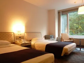 Shin Furano Prince Hotel - Chambre