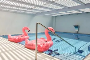 Flamingo Hotel - Piscine