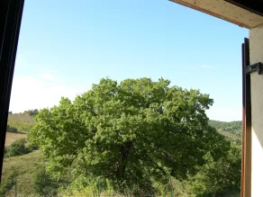Agriturismo La Meria - Doppelzimmer Zugang für Behinderte - Ausblick vom Zimmer