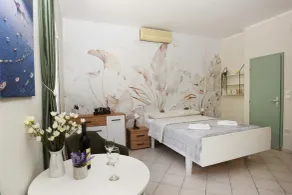Apartmani Zukic - Habitación