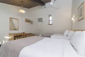 Rocky Mountain Ski Lodge - Room