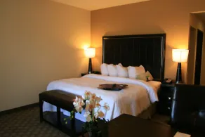 Hampton Inn & Suites McAlester - Room