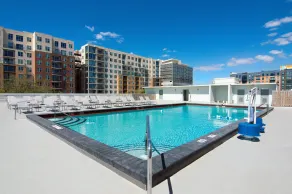 Holiday Inn Gainesville-University Center by IHG - Pool