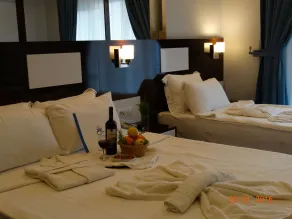 Pamukkale Termal Ece Otel - Habitación