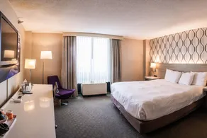 Radisson Hotel Duluth-Harborview - Chambre
