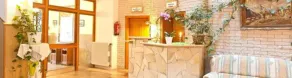 Resort Hotel Seebauer Gut Wildbad - Reception