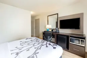 Sleep Inn Orange Beach - Room
