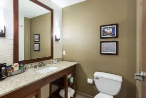 Comfort Inn & Suites Zachary - Salle de bain