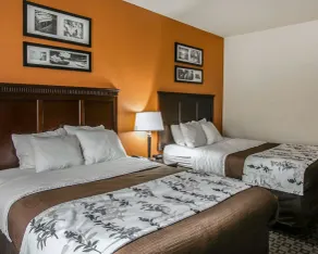 Sleep Inn & Suites Hwy 290-NW Freeway - Room