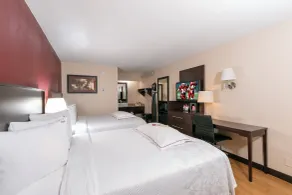 Red Roof Inn PLUS+ West Springfield - Rom