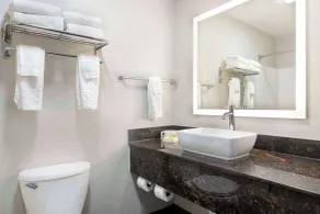Best Western Savannah Airport Inn & Suites - Salle de bain