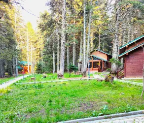 Karinna Forest Houses - Vistas desde la habitación