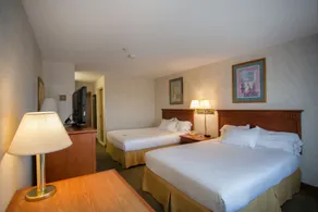 Vagabond Inn Executive - Rom