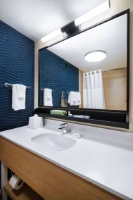 Spark by Hilton Rochester University Area - Salle de bain