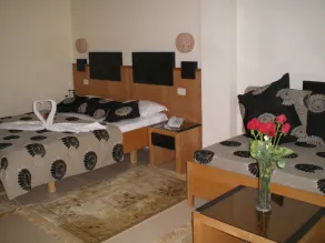 Hotel Les Palmiers - Chambre